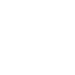 Icon Big N-10